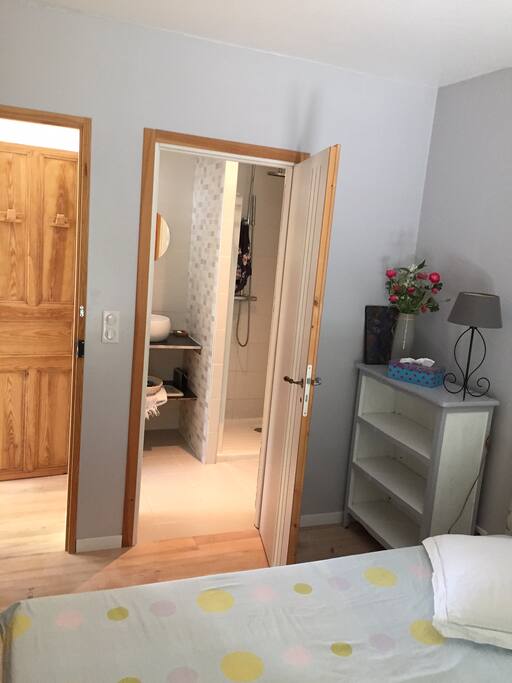 Salle douche privée vue de la chambre