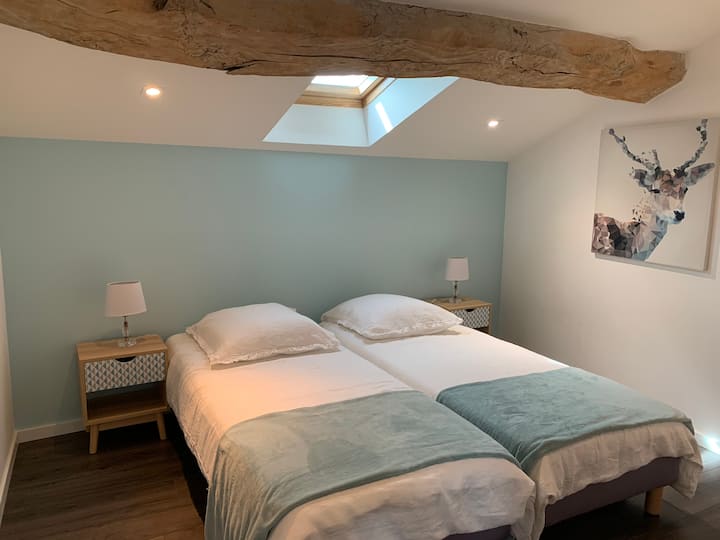 Chbre Blue 2 lits X 80