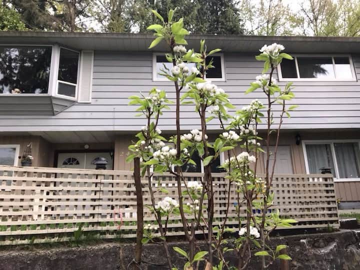 Burnaby Mountain Vacation Rentals & Homes Burnaby, Canada Airbnb