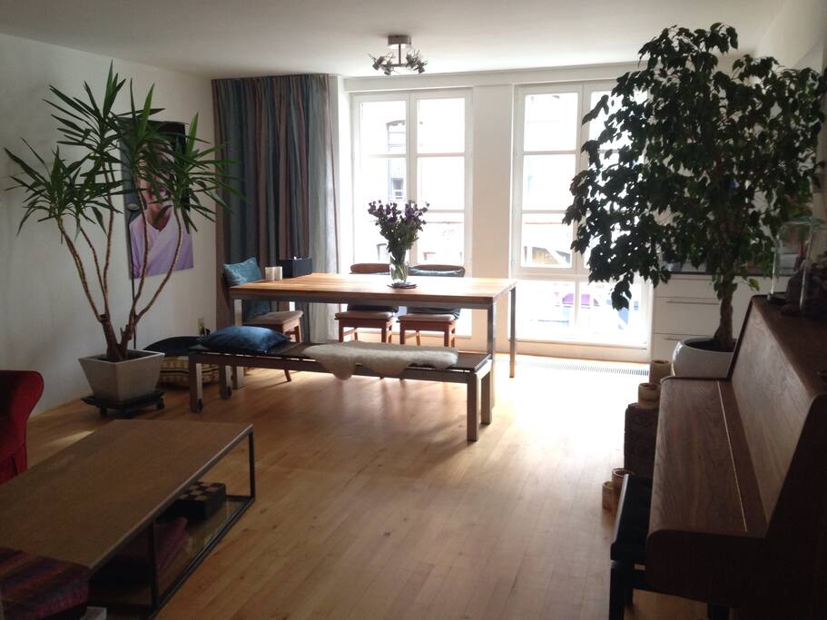 Living room, dining table and kitchen are all one open space.