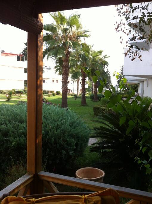 view from outdoor dining area