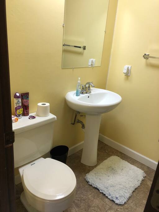 Private bathroom (connected to bedroom)