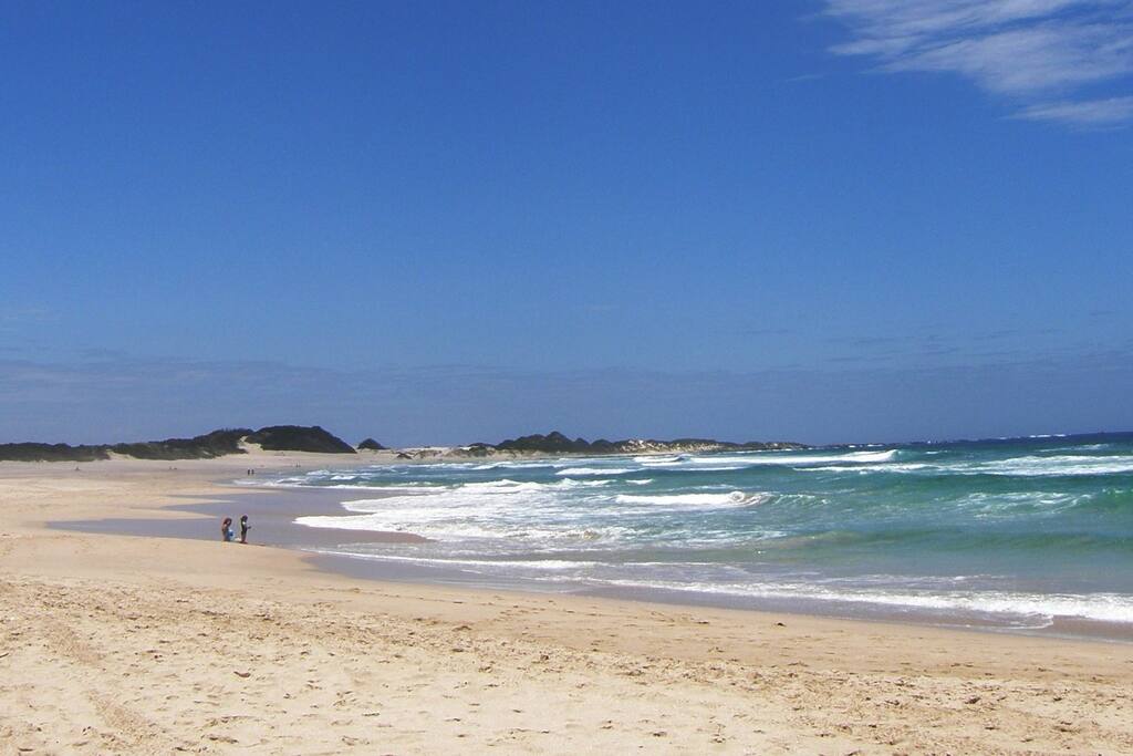 Beautiful sandy beach of Seal Bay