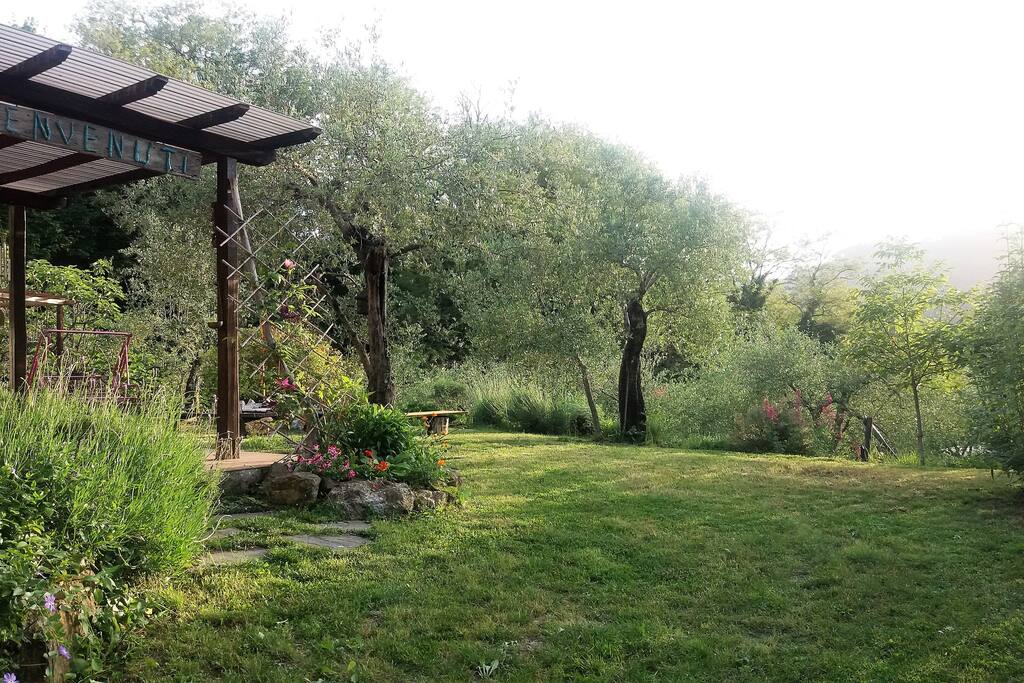 esterno casa/garden
