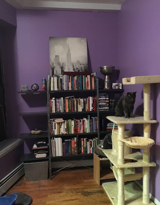 The cats like to hang in this alcove off in the living area. They have their cat tree, toys and litter box in this area. This area is to the left of your room door.