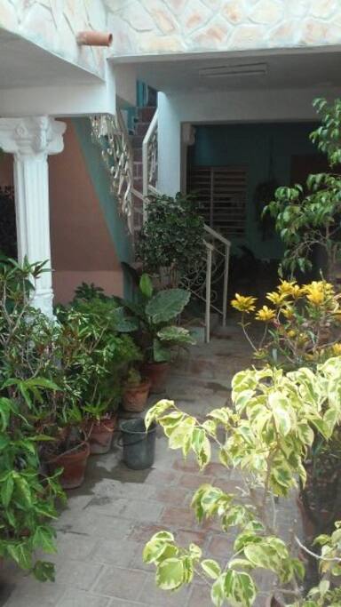 estos son los jardines de la casa