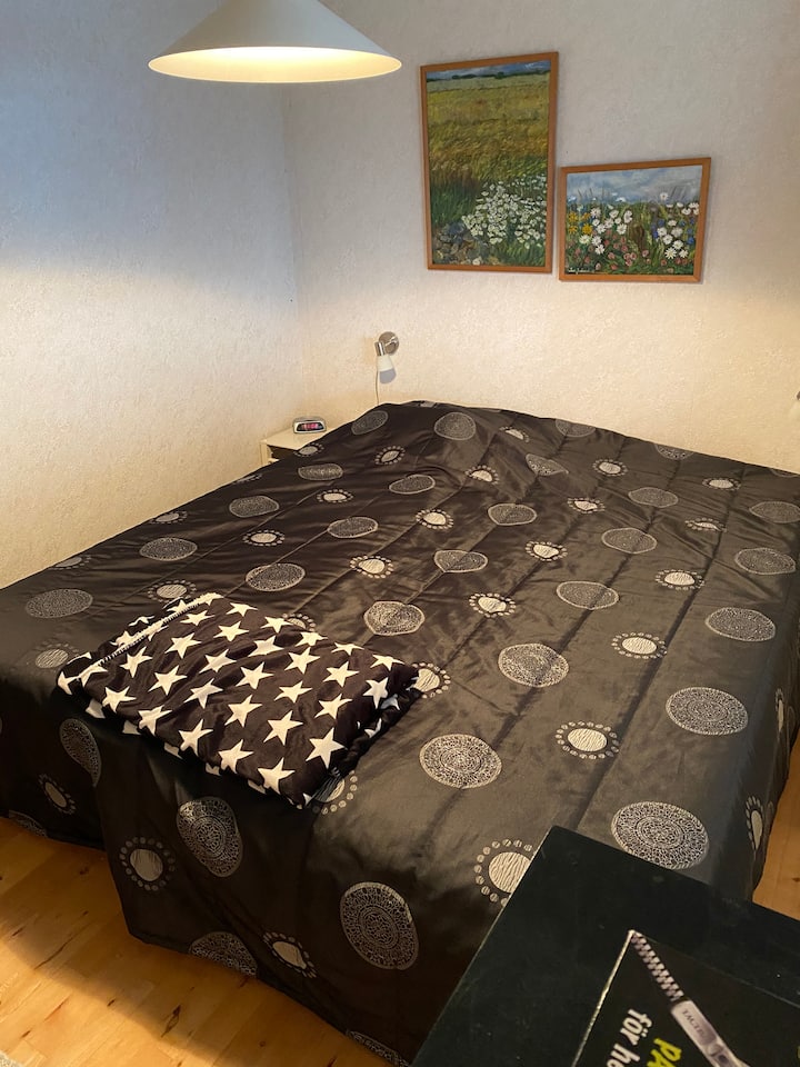 Grote slaapkamer (2) in het grote huis