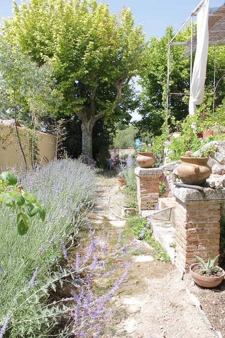 le jardin