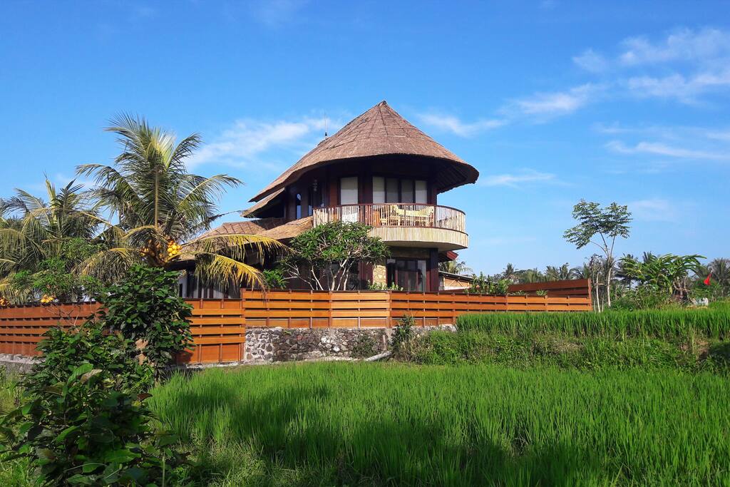 The Oasis