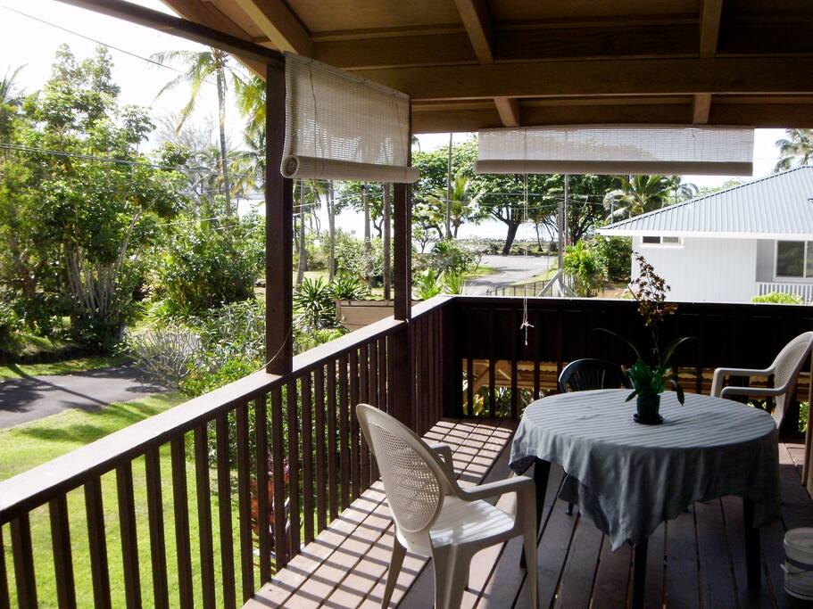 Hammock, BBQ, and wicker table & chairs are not shown.