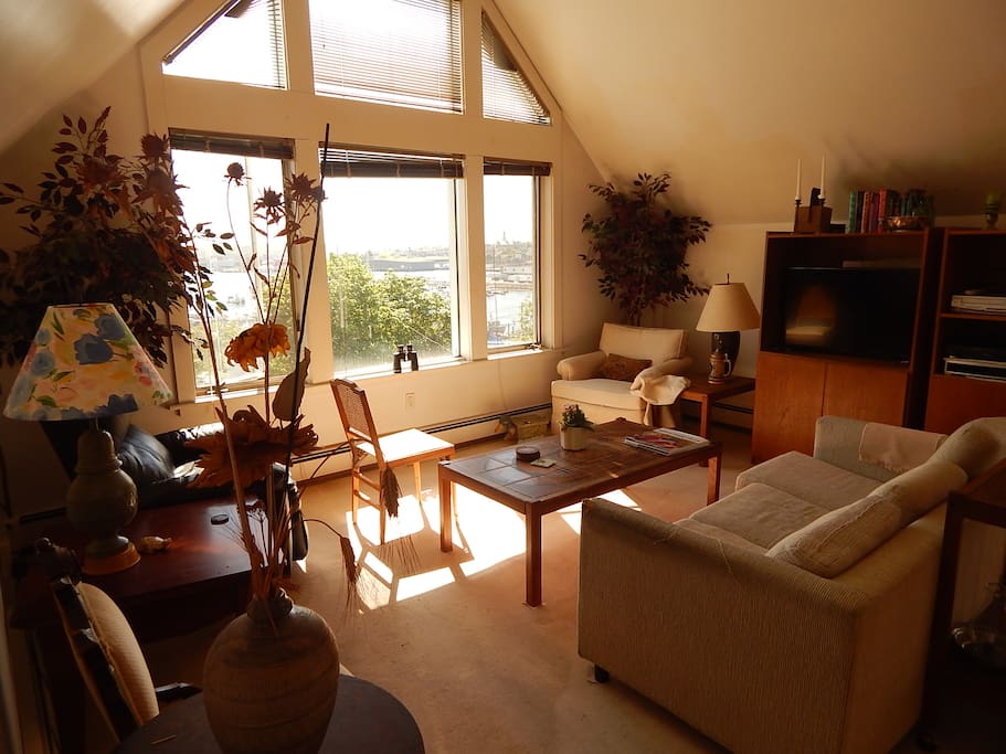 lving room and view