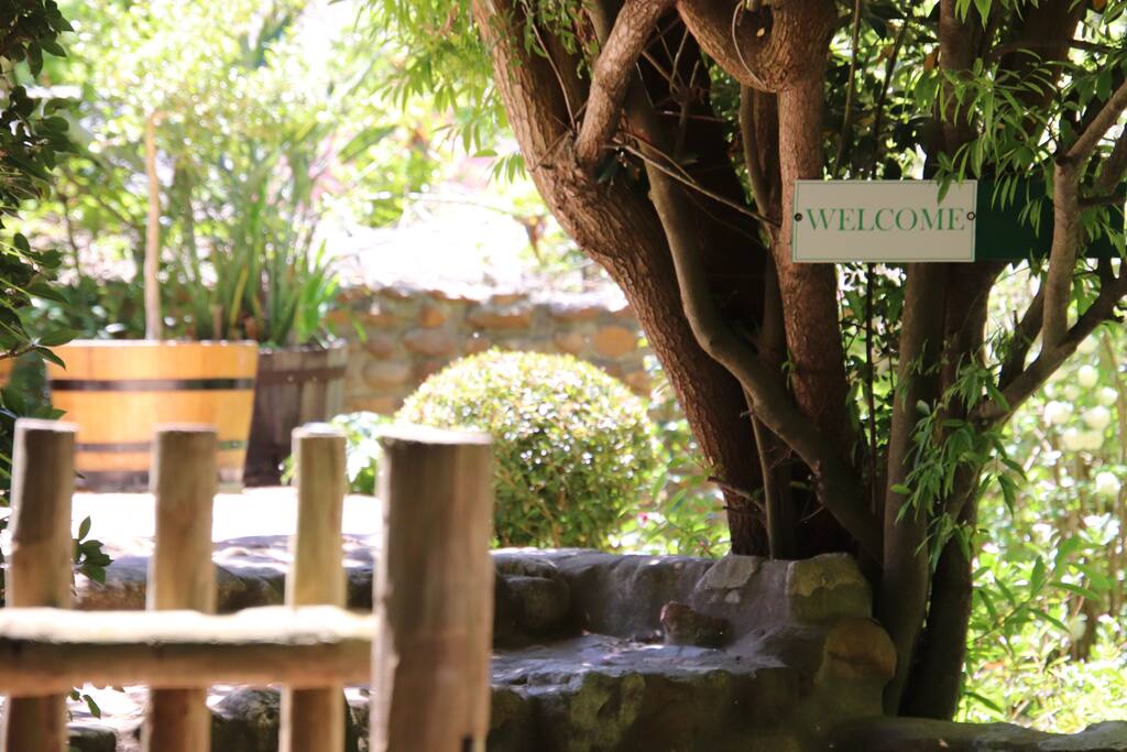 Welcome to the Barn, Greyton