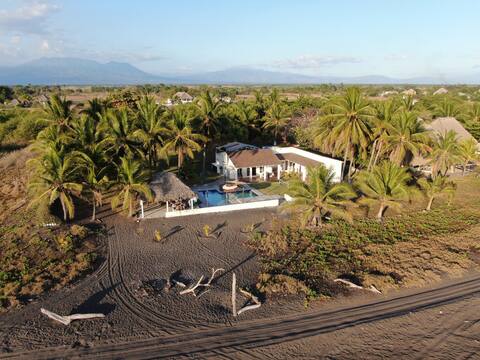 Beach Front - Palm Surrounded Paradise