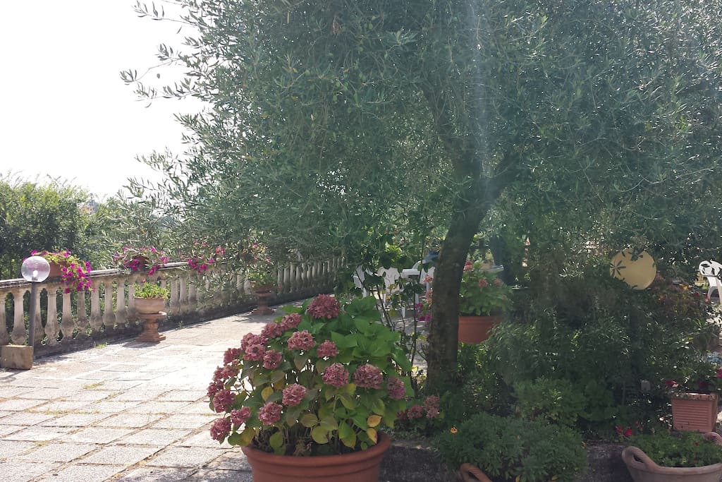 la terrazza della casa principale