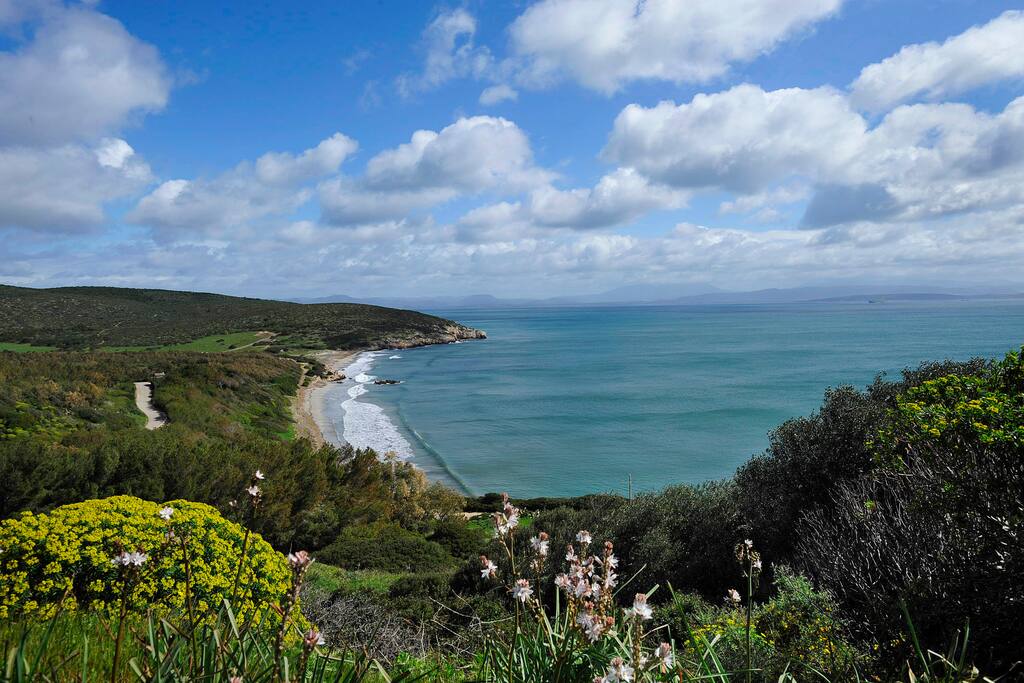 spiaggia Coequaddus