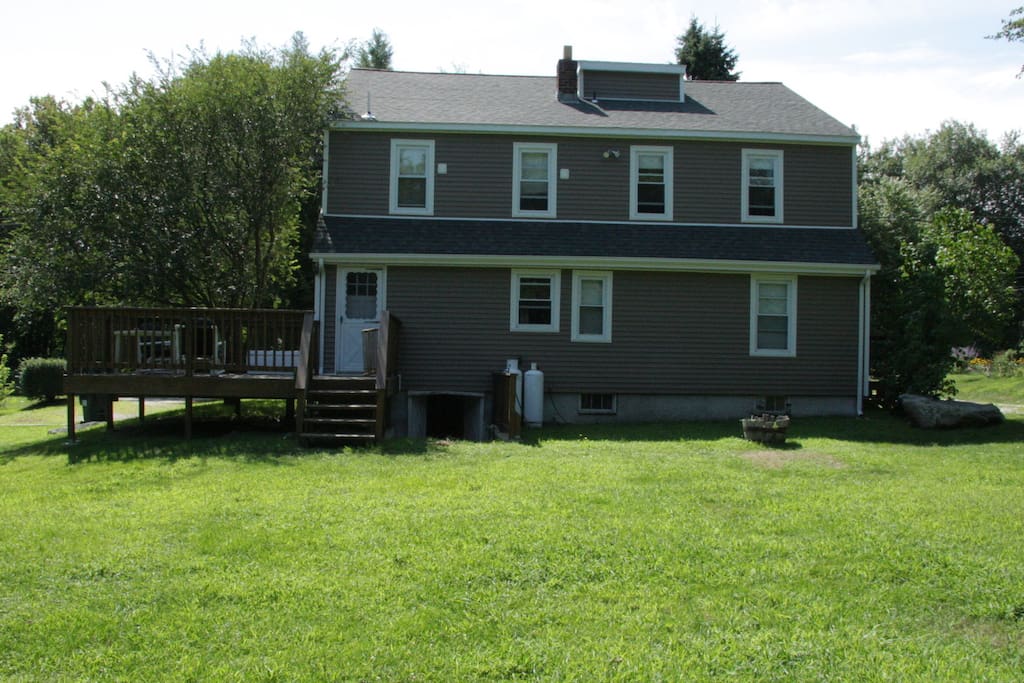 Back yard