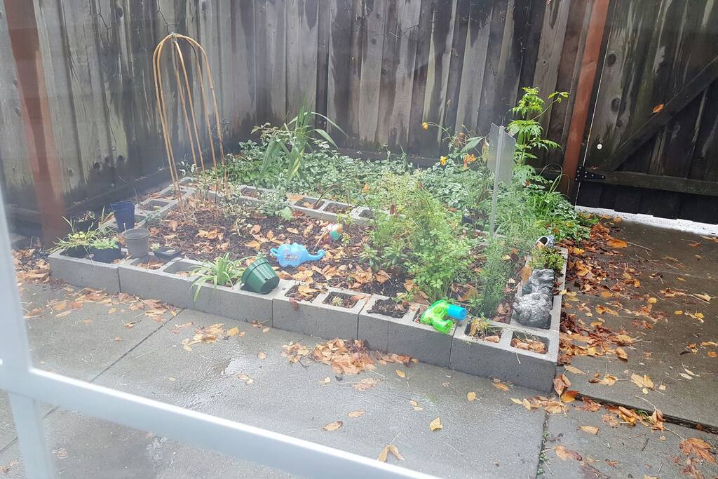 Front garden