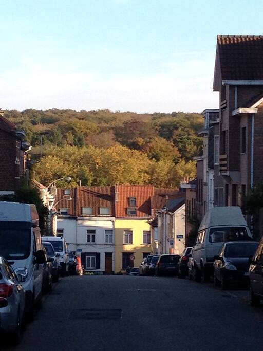 street view