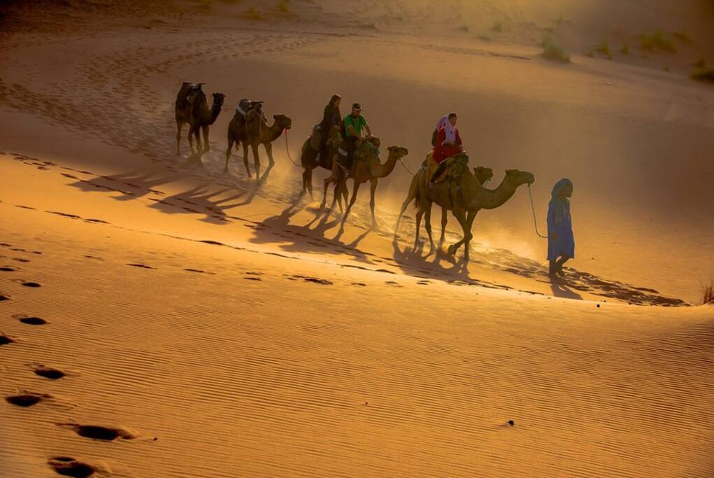 Camel trekking with Lahbib
