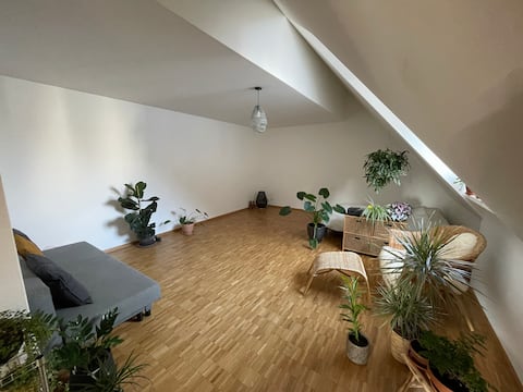 lovely top floor studio in lively downtown basel