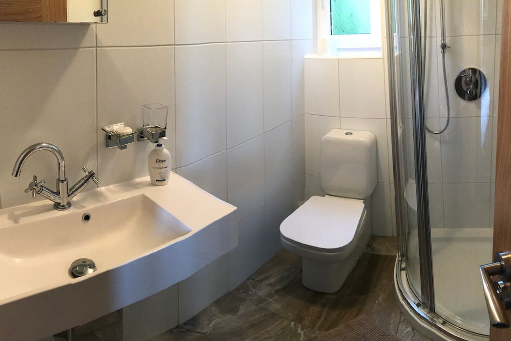 Wash hand basin, toilet and shower