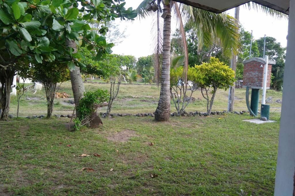 Jardin frente a la casa