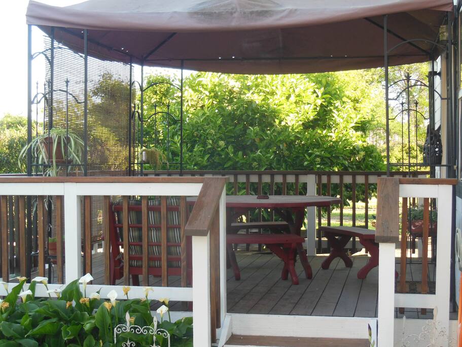 Back Porch