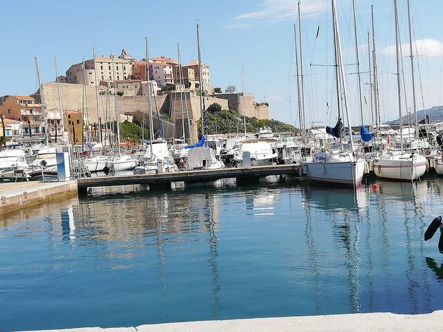 Studio lumineux à Calvi dans la pinede bord de mer