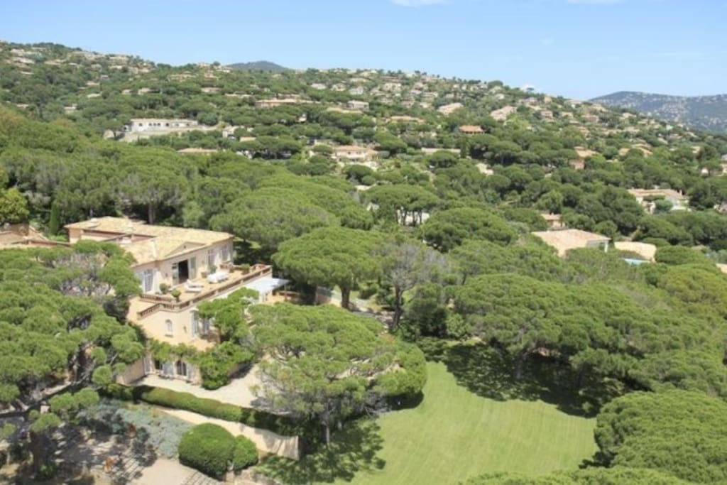 Le domaine