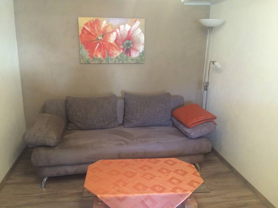 Schlafcouch/Wohnzimmer