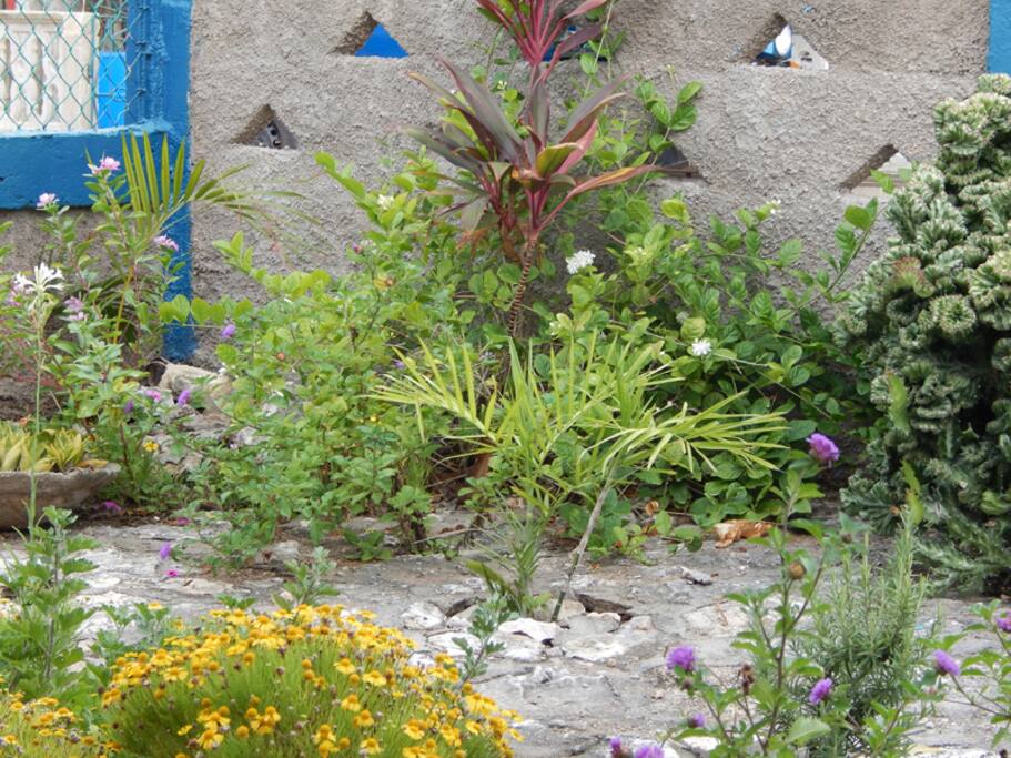 Jardín
