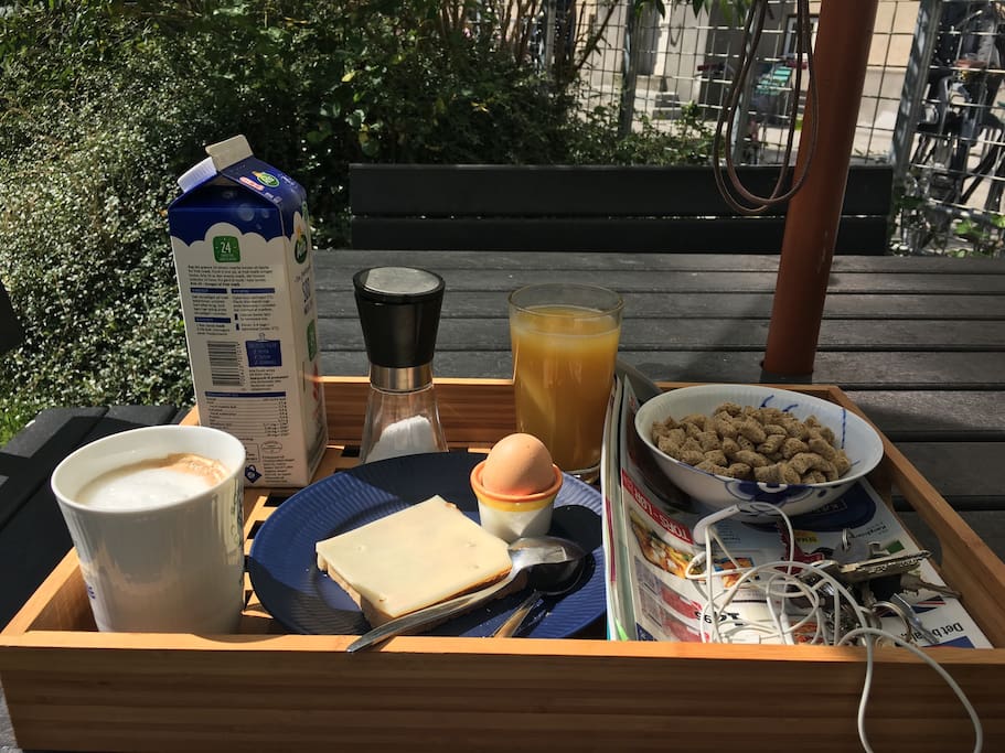 Breakfast in the yard