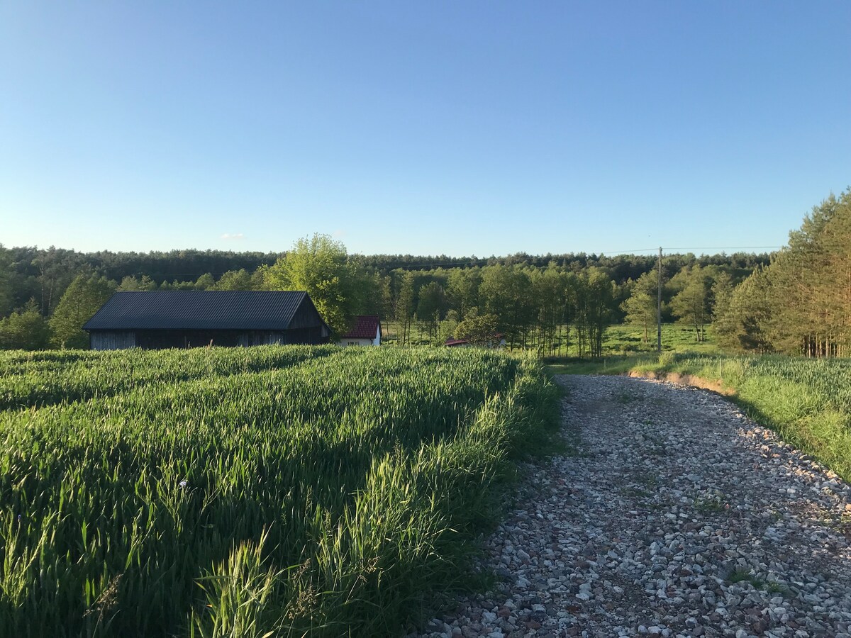 A gravel path leads through lush green fields, flanked by trees and a forest in the background. A rustic house is visible among the greenery under a clear blue sky, creating a serene rural landscape.