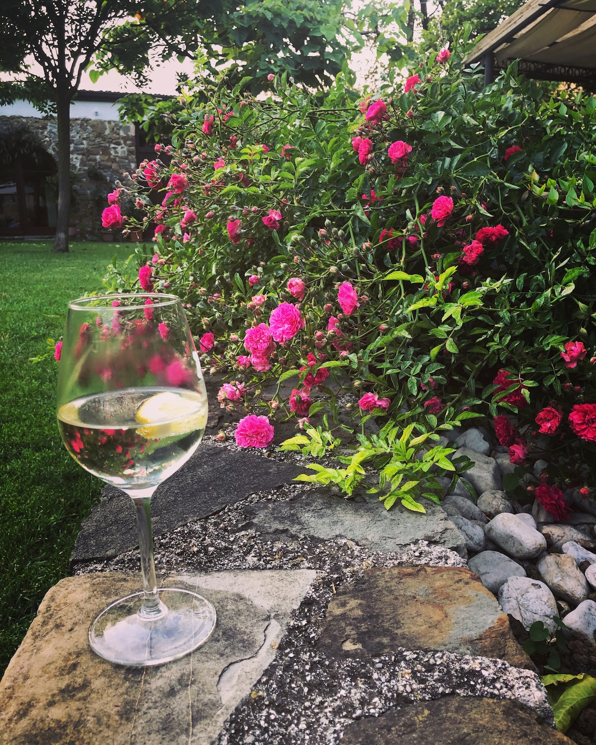 A crystal-clear glass of white wine sits atop a stone surface, with a slice of lemon perched on the rim. Lush greenery and vibrant pink flowers surround the scene, contributing to a serene outdoor setting.