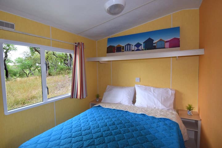 Habitación 1