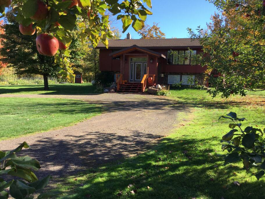 Our home