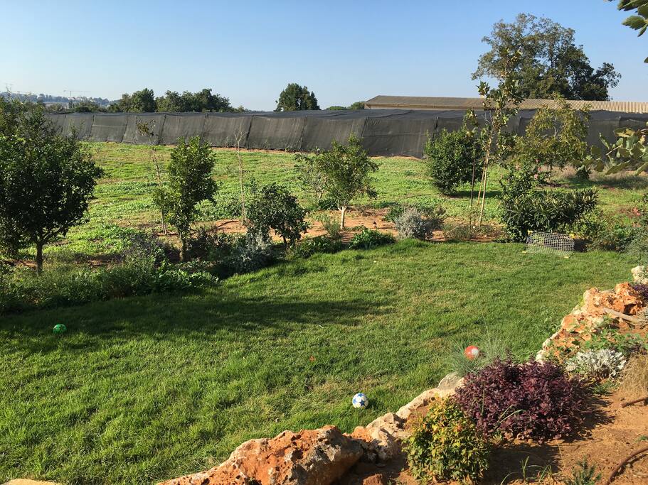 our amazing garden