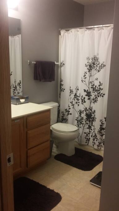 Main Bathroom