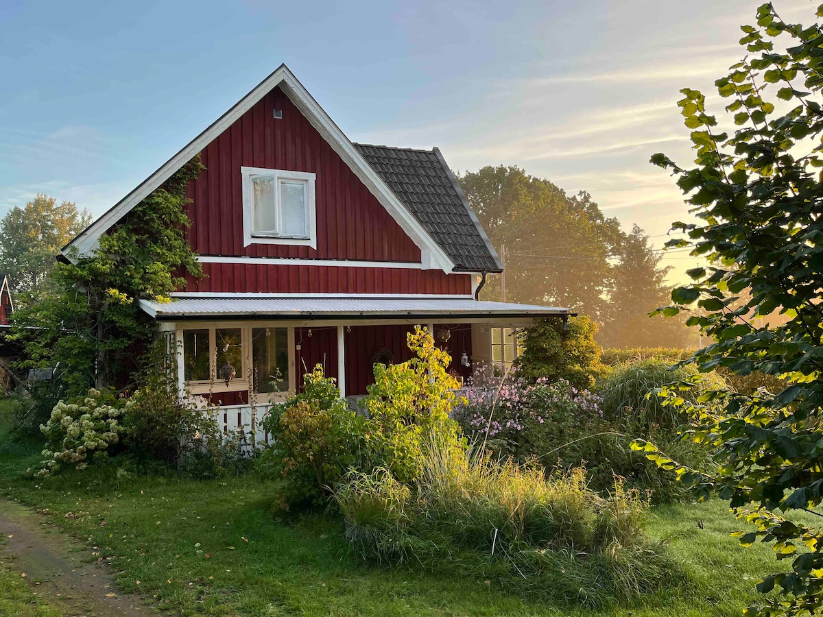 A red wooden house with a gabled roof is surrounded by greenery and flowering plants. Soft morning light casts a warm glow over the scene, highlighting the inviting front porch and windows. A grassy path leads to the entrance, enhancing the natural setting.