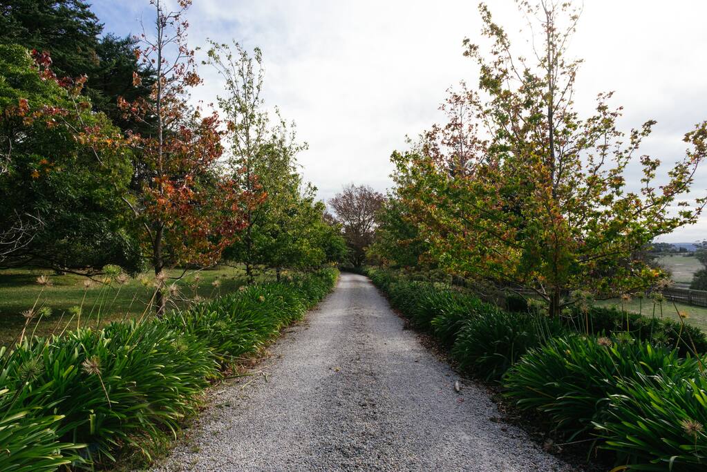 Tree lined entrance driveway