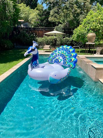 Entire Home Paradise In the Hollywood Hills