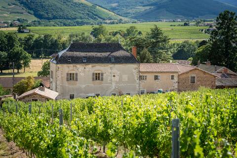 Durette Castle - Gite