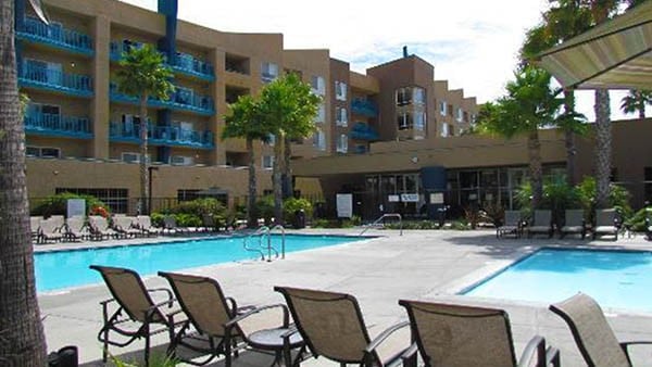 Two swimming pools are surrounded by palm trees and lounge chairs facing the water. The resort building rises in the background, featuring multiple stories with balconies. A shaded area is positioned to the right, offering a place for relaxation.