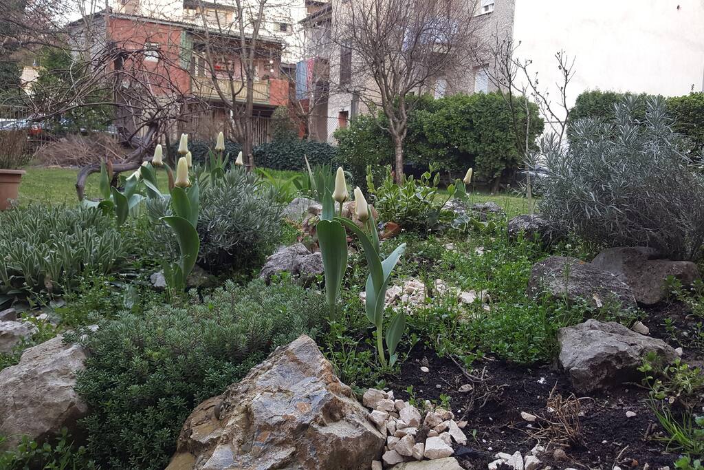 Park & City apartment backyard