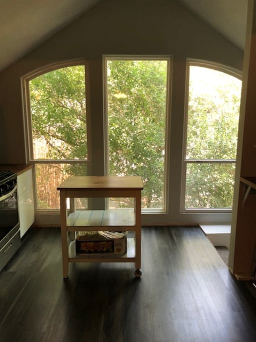 Beautiful tree lined view off of kitchen
