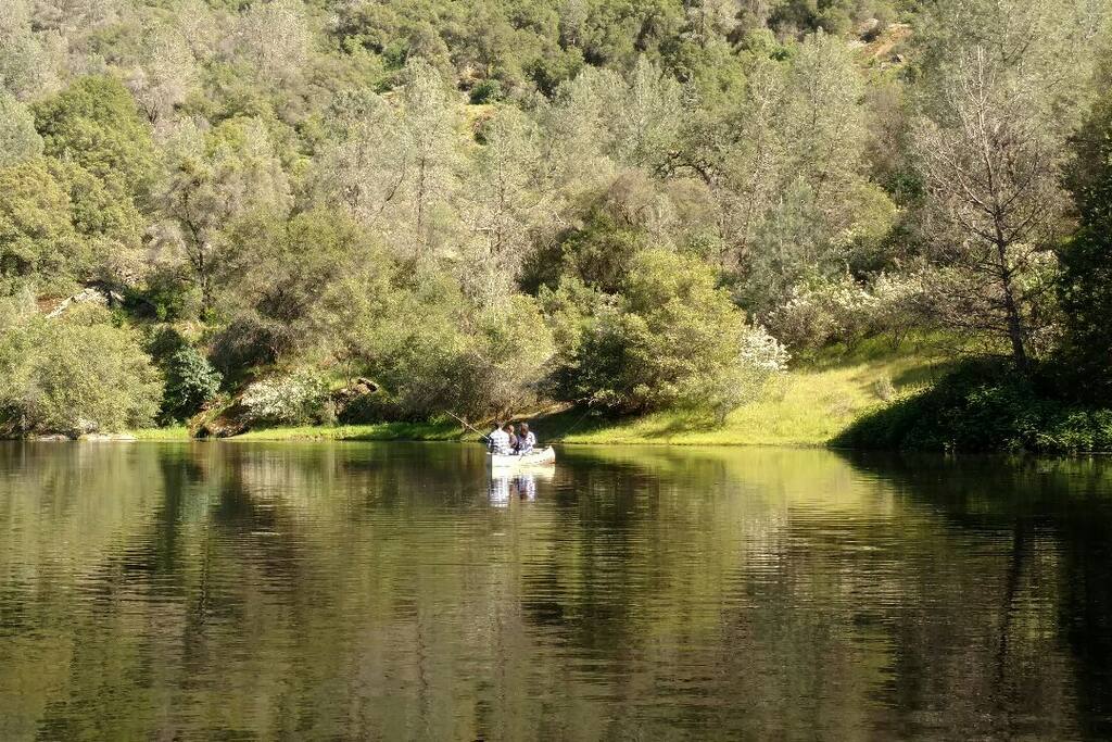 Row boat at the pond