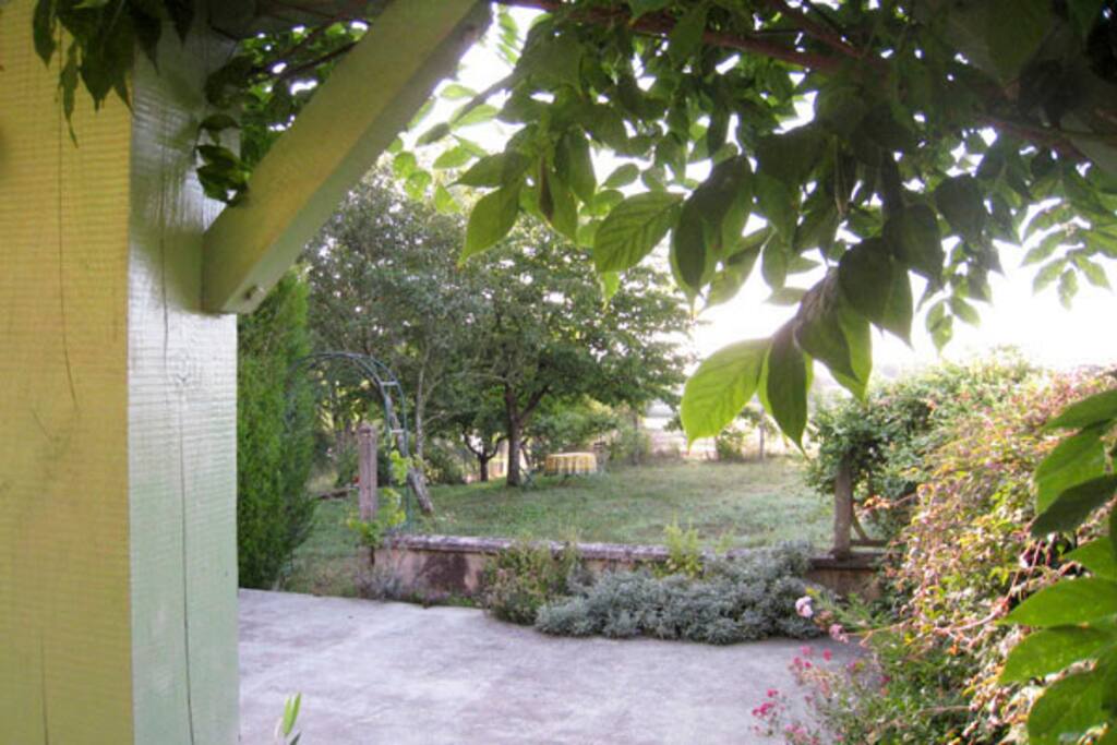 from the kitchen you can see the cherry-tree