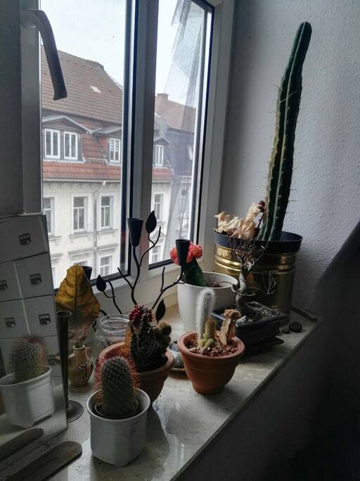 More than a window sill