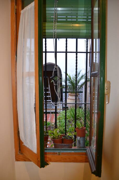 Patio interior de la casa