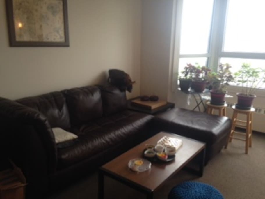 sofa and living room